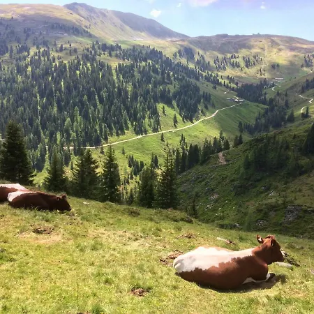 Appartamento Wagnerhaeusl