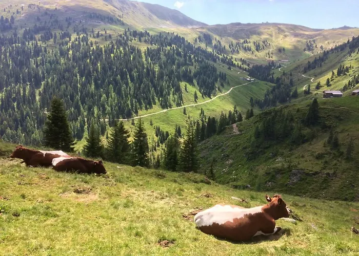 Lejlighed Wagnerhaeusl